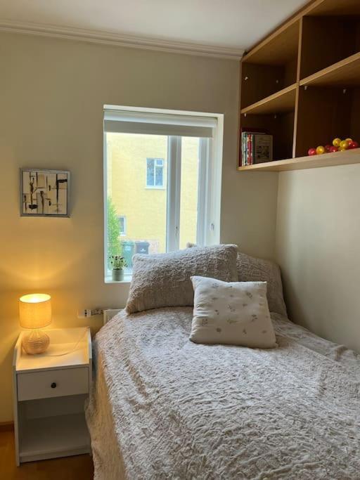 Charming 3 Bedroom Apartment Акурейри Экстерьер фото